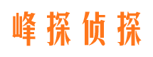 千阳外遇出轨调查取证